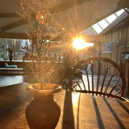 Ostello Cheeky Family Surf House *