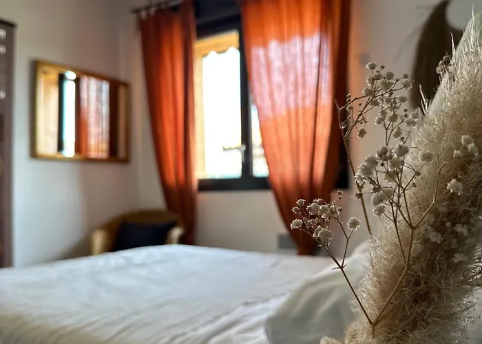 Hostel Cheeky Family Surf House *